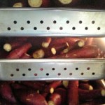 100429_174535.jpg